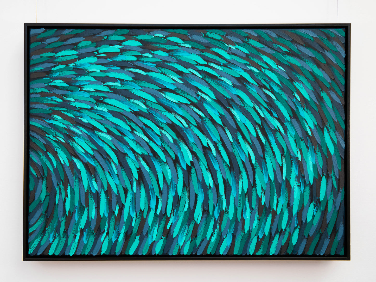 Teal Chromis